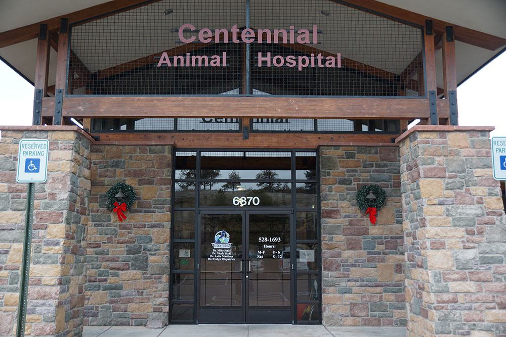 Hospital Tour - Colorado Springs Veterinarian - Centennial Animal Hospital